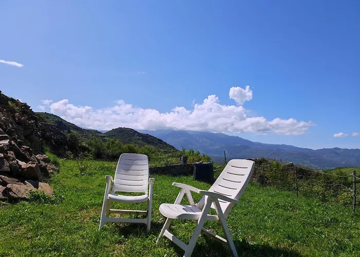 Grand F2 Vue Montagne 公寓 Olmeta-di-Tuda